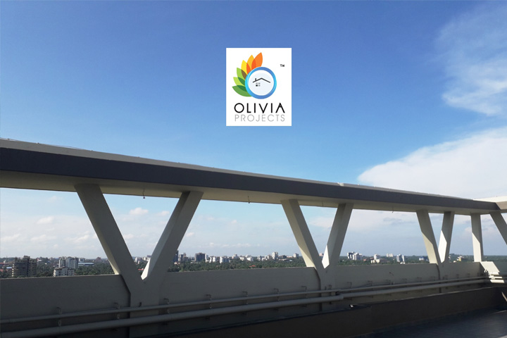 Olivia Projects